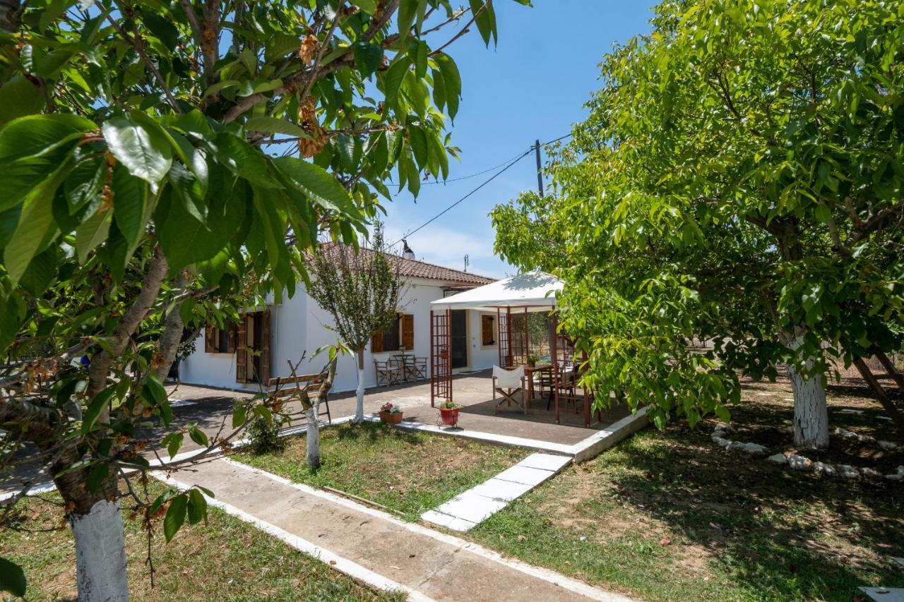 Nagia'S House, Εξοχική Κατοικία Κοντά Στη Θάλασσα! Korakochori Luaran gambar